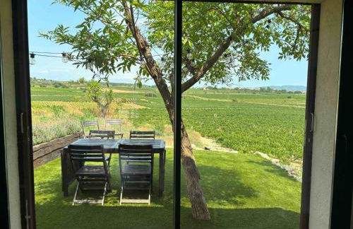 Cabernet Rural - Foto 7