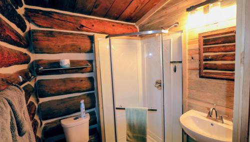 The Cabins at Historic Columbine - Foto 5, Shower
