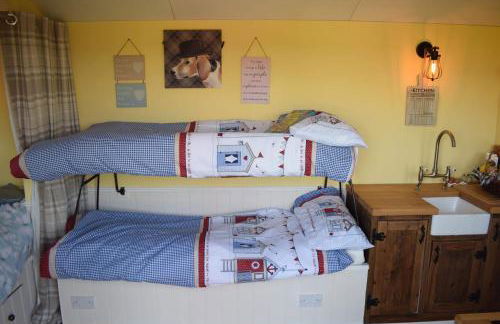 Shepherds Hut with Hot Tub - Foto 9