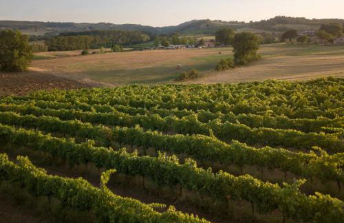 Agriturismo Consalvi - Foto 10