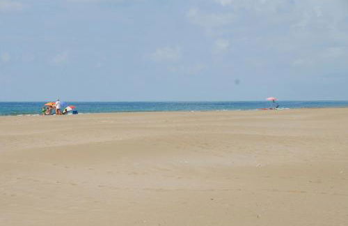 Birds&Nature - Foto 16