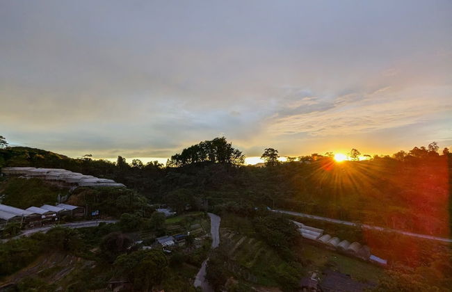 The Retreat Hotel at Cameron highlands - Photo 31