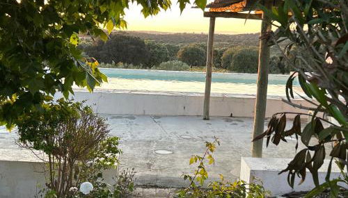 Herdade das Pintas - Foto 3