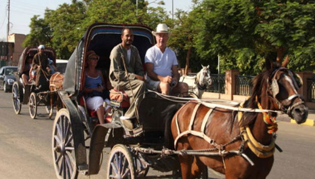 Recorrido privado por el mercado local en coche de caballos - Foto 2