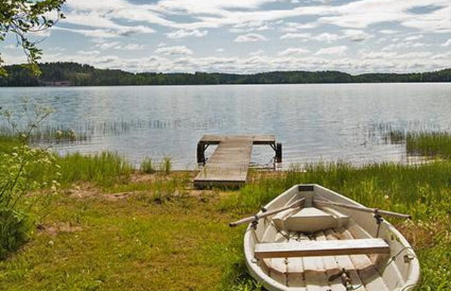 Keltavuokko - Foto 3