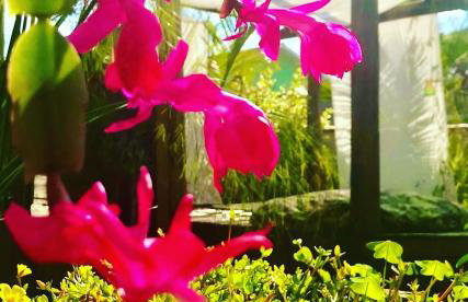 Recanto Rustico Itapoá - Photo 34