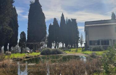 Galealpe - Toscana - Foto 23