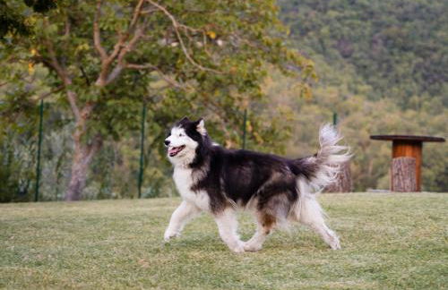 Podere Limeria Country Home nelle Marche - Foto 14