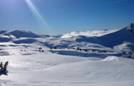 GITE LES 3 EDELWEISS - Maison SEGUITTE - 6 PERSONNES - Foto 21