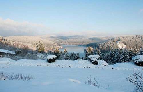 BSW Ferienwohnungen Brockenblick - Foto 17