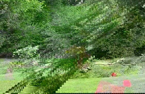 Ferienwohnung Haus am Wald - Foto 38