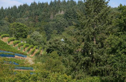 Haus Der Malerin Andrea Gawaz - Foto 11