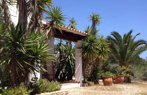 Apartamentos Laura Playa de Migjorn - Foto 22