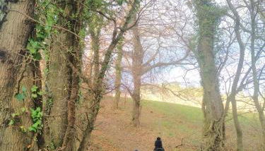 Gîte au coeur du parc naturel régional du Pilat - Foto 5