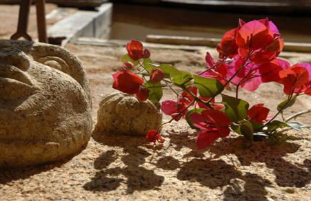 Apartamentos Rurales Los Vergeles - Foto 12