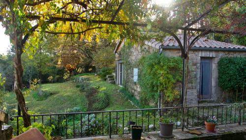 Les IRIS des Rieux - Foto 2