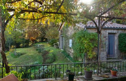 Les IRIS des Rieux - Foto 2