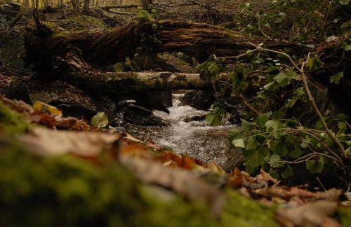 Tana di Zia Nature, Yourself, Love - Foto 58