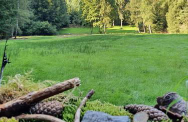 Odenwald-Lodge mit Infrarotsauna und E-Ladestation im Naturpark Odenwald "Haus Himmelblau" - Foto 29