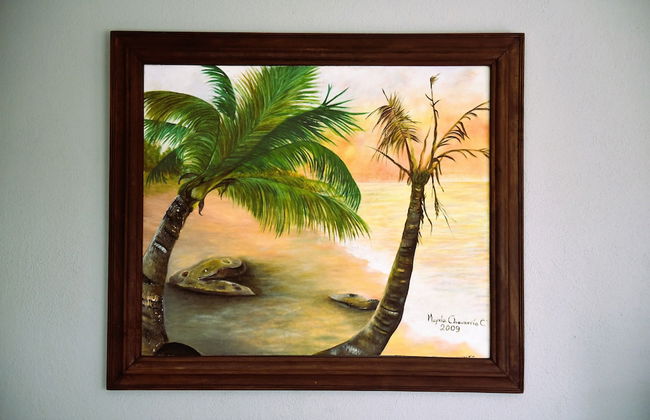 Papaya Dreams - Foto 12