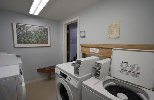 Sugar Run: 25 - Foto 24