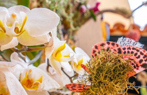 Ke Casetta Tenerife Salvador and Santiago apartments - Foto 59