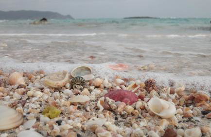 Dimitra's Sea-Crafts Boutique Studios - Photo 65