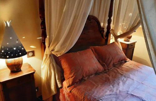 MAISON DE NOSTRADAMUS*** OCCITANIE INSOLITE - Foto 42