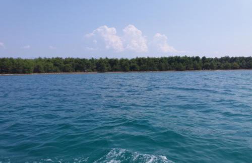 DIKKA apartment Vrsi - Mulo Zadar - Foto 25