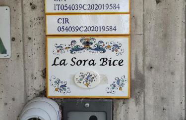 La Sora Bice - Foto 29