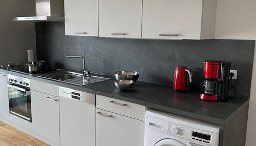 Isar Residences Landau, Wohnung No1 - Foto 2, stove, dishwasher