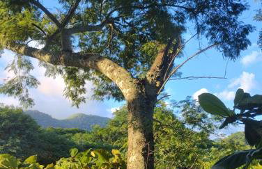 Condado Aldeia dos Reis - Foto 50