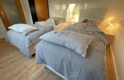 Ferienhaus-Natur-Elbblick-Vollausstattung - Foto 27