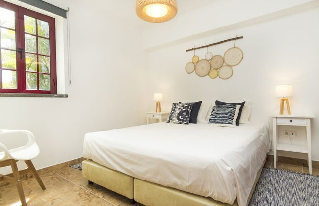 Quinta do Torcaz - Foto 5