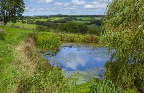Stockham Farm Dulverton - Foto 14