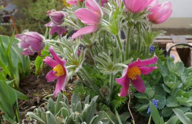 Terrassenwohnung - Foto 29