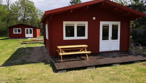 Agroturystyka Wilczyn Cegielnia - Foto 4