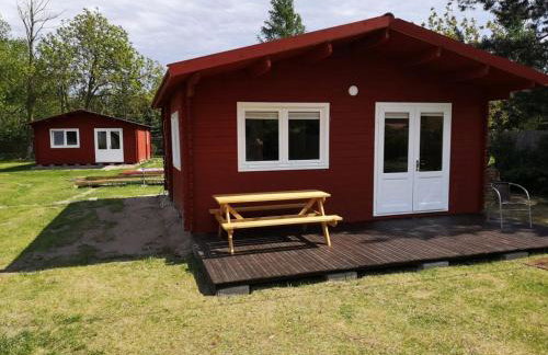 Agroturystyka Wilczyn Cegielnia - Foto 4