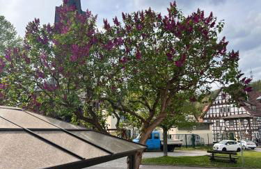 Ferien- und Monteurwohnungen Andrej - Foto 7