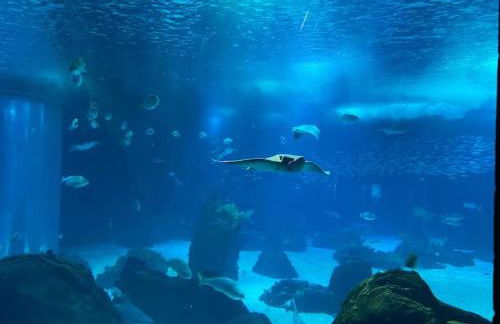 Lisbon South Bay modern apartment with river view - Foto 28