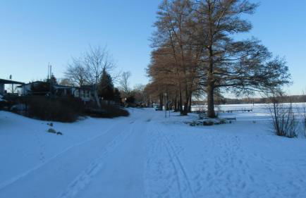 Ferienhaus am Schwielochsee - Foto 53