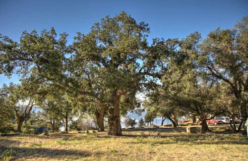 Group Bunkhouse Sleeps 12 Mountain Views - Foto 21