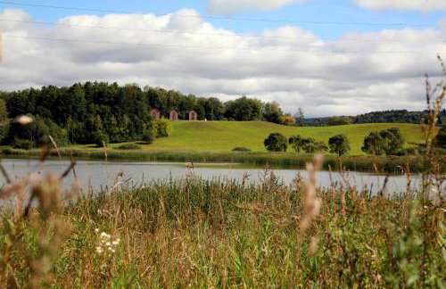 Domek Dzikie Lisko - Foto 16