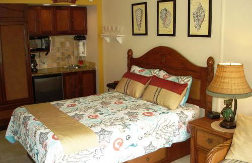 Islander on the Beach Unit 244 - Foto 1