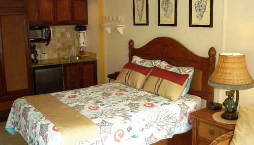 Islander on the Beach Unit 244 - Foto 1