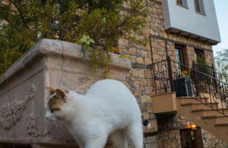 Archontiko Emmanouilidi Suites - Foto 20