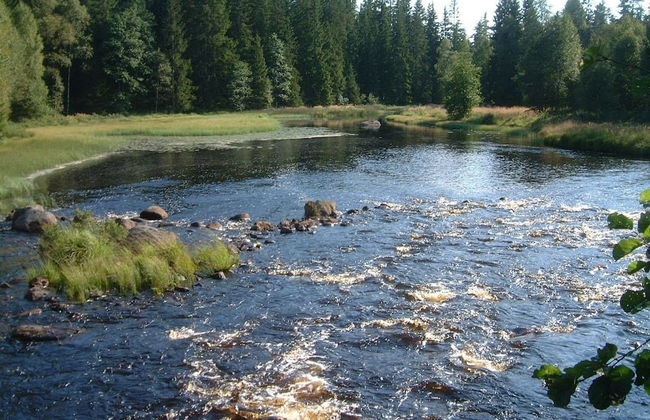 Beautiful holiday house Blomkulla - Foto 10