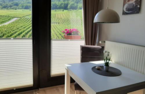 Haus Weingarten FERIENWOHNUNGEN - Foto 9