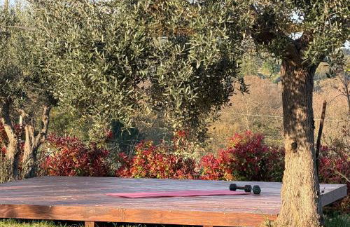 Trulli Fichi Luxury Trullo with Private Spa and Saltwater Pool - Photo 9