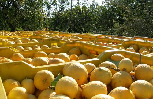 Agriturismo San Leonardello - Foto 142